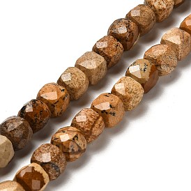 Natural Picture Jasper Beads Strands, Faceted, Cube