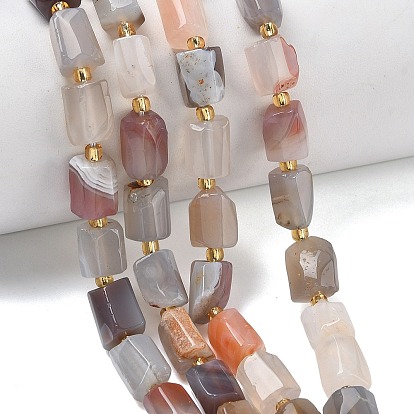 Природные Ботсвана агат бисер нитей, граненые, колонка, с бисером