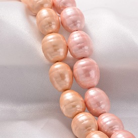 Oval Grade A Polished Shell Pearl Bead Strands