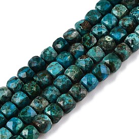 Natural Chrysocolla Beads Strands, Faceted, Cube