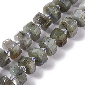 Natural Labradorite Beads Strands, Faceted, Flat Round