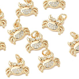 SHEGRACE Brass Micro Pave Cubic Zirconia Pendants, Cadmium Free & Nickel Free & Lead Free, Crab Charms, Clear