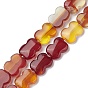 Natural Agate Beads Strands, Bowknot