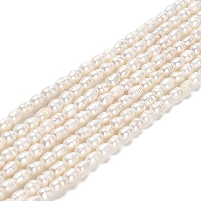 Natural Cultured Freshwater Pearl Beads Strands, Rice, Grade A+