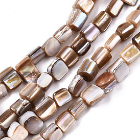 Natural Freshwater Shell Beads Strands, Nugget Stick