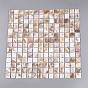Natural Freshwater Shell Mosaic Tile Cabochons, Square, Flat Back