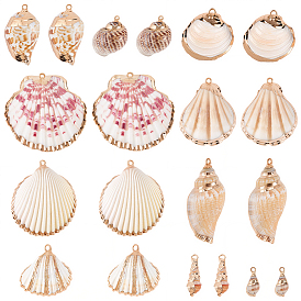 20Pcs 10 Styles Electroplated Natural Mixed Shell Pendants, Shell Shape Charms, with Metel Findings, Mixed Color