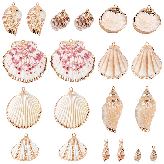 20Pcs 10 Styles Electroplated Natural Mixed Shell Pendants, Shell Shape Charms, with Metel Findings, Mixed Color