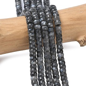 Натуральные нити бус из ларвикита, граненые, рондель