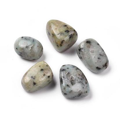 5Pcs Natural Sesame Jasper/Kiwi Jasper Beads, Tumbled Stone, Vase Filler Gems, No Hole/Undrilled, Nuggets