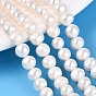 Natural Cultured Freshwater Pearl Beads Strands, Potato