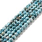 Natural Apatite Beads Strands, Round