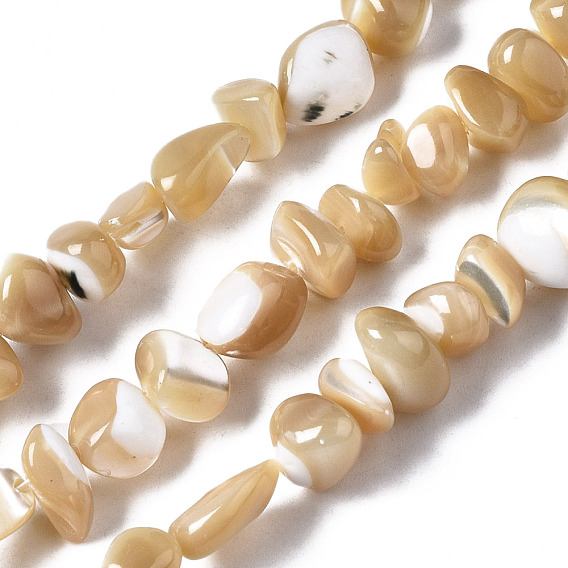 Natural Trochid Shell/Trochus Shell Beads Strands, Nuggets Chips