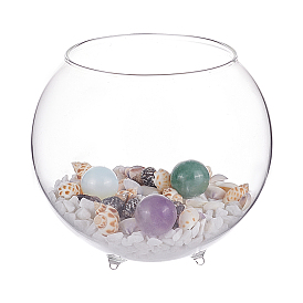 BENECREAT DIY Microlandscape Glass Cylinder Making Kits, Including Glass Fish Bowl, Silica Sands, Shell & Gemstone Beads