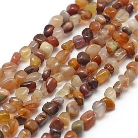 Natural Petrified Wood Beads Strands, Nuggets
