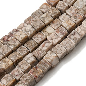 Natural Maifanite Beads Strands, Cube