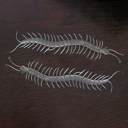 Glow in The Dark Plastic Centipedes, Luminous Horrible Animals, Halloween Scary Decoration, Mischief Prop