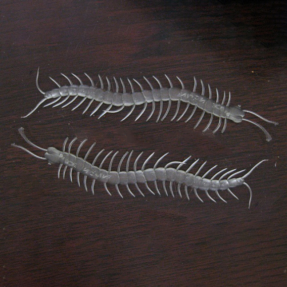 Glow in The Dark Plastic Centipedes, Luminous Horrible Animals, Halloween Scary Decoration, Mischief Prop