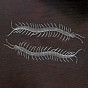 Glow in The Dark Plastic Centipedes, Luminous Horrible Animals, Halloween Scary Decoration, Mischief Prop