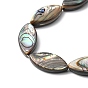 Natural Paua Shell Beads Strands, Horse Eye