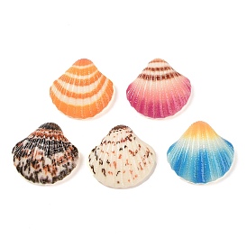 Opaque Resin Decoden Cabochons, Shell Shape