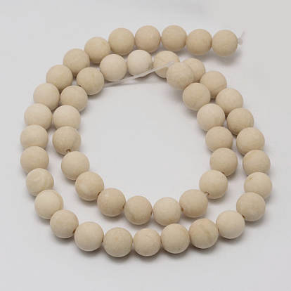 Natural Fossil Beads Strands, Frosted, Round