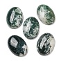 Natural Tree Agate Cabochons, Oval