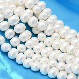 Concha ovalada hebras de perlas de perlas