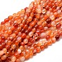 Окрашенные натуральные самородки сердолика, гладкие самородки, нити бусин, 5~10x6~7x3~7 мм, отверстие : 1 мм, около 14.9 дюйм ~ 15.7 дюйм