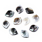 Natural Shell Pendants, Petaline