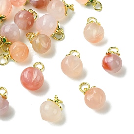 10 шт. 2 стили подвески из натурального агата персикового цвета, с фурнитурой латунной золотого тона