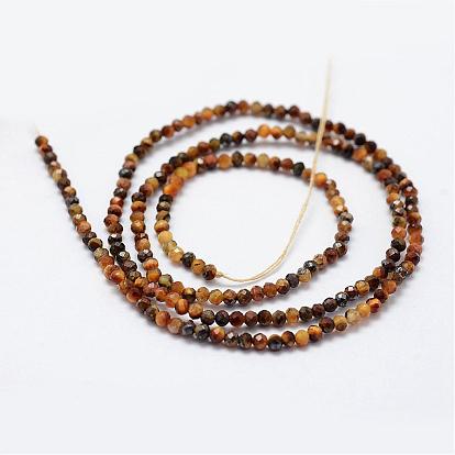 Natural Tiger Eye Beads Strands, Faceted, Round