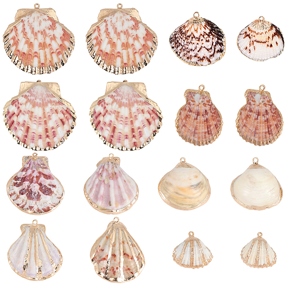 32шт. 8 стили гальванизированные натуральные смешанные подвески из ракушек, подвески в форме ракушек, золотые, разноцветные