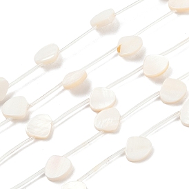 Естественных пресноводных оболочки бисер нитей, формы раковины, с пластиковыми трубчатыми бусинами, Топ пробуренной