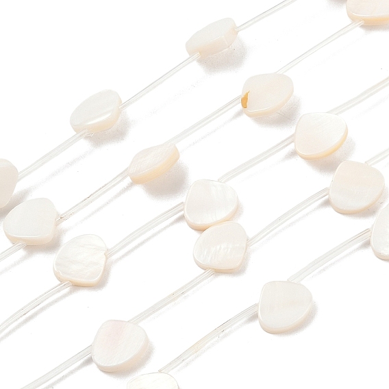 Естественных пресноводных оболочки бисер нитей, формы раковины, с пластиковыми трубчатыми бусинами, Топ пробуренной