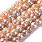 Natural Cultured Freshwater Pearl Beads Strands, Potato, Grade A