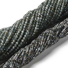 Природного апатита нитей бисера, граненые круглые