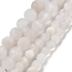 Natural Rainbow Moonstone Beads Strands, Faceted, Round