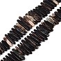 Natural Biotite Beads Strands, Irregular Stick, Top Drillded