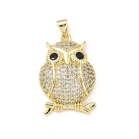 Латунные микропаве прозрачные подвески с фианитом, сова, без свинца и без кадмия, долговечный, стойки покрытие