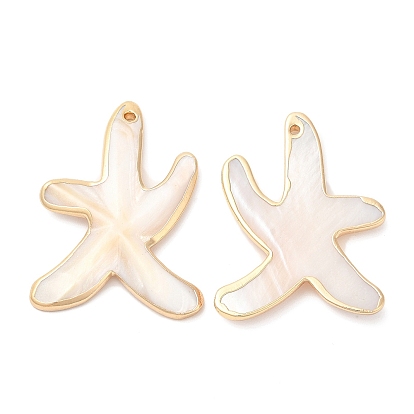 Natural Freshwater Shell Pendants, Golden Plated Brass Edged Starfish Charms