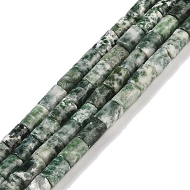 Perles de jaspe tache verte naturelle, colonne