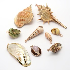 Mixed Shapes Natural Spiral Shell Pendants, 23~86x14~42x12~30mm, Hole: 3~4mm