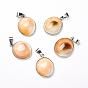 Shell Pendants, with Platinum Tone Brass Findings, Oval