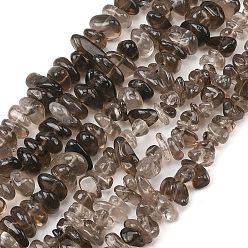 Natural Smoky Quartz Beads Strands, Chip