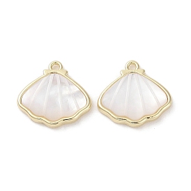 Brass Pave Shell Charms, Shell Shape Charms