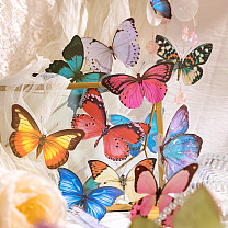 30Pcs PET Self-Adhesive Decorative Stickers, Waterproof Decals for DIY Scrapbooking, Kid's Art Craft