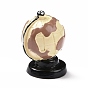 Retro Resin Display Decoration, for Home Decoration, Photographic Prop, Dollhouse Accessories, Globe