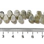 Brins de perles naturelles de larvikite/labradorite, larme, top foré