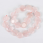 Natural Rose Quartz Flat Round Beads Strands, 20x7mm, Hole: 1mm, about 20pcs/strand, 15.75 inch